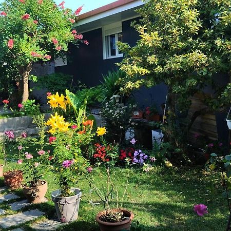 Casa Tito Hotel Campo Lameiro Ngoại thất bức ảnh