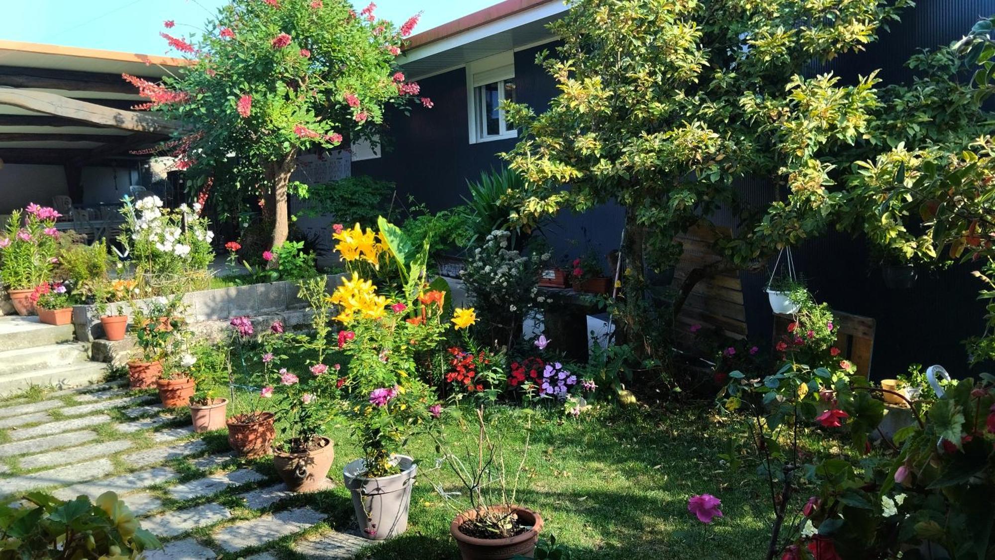 Casa Tito Hotel Campo Lameiro Ngoại thất bức ảnh
